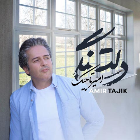 دانلود آهنگ امیر تاجیک دلتنگی